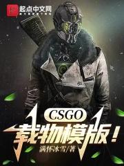 CSGOģ棡