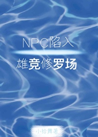 NPC۾޳